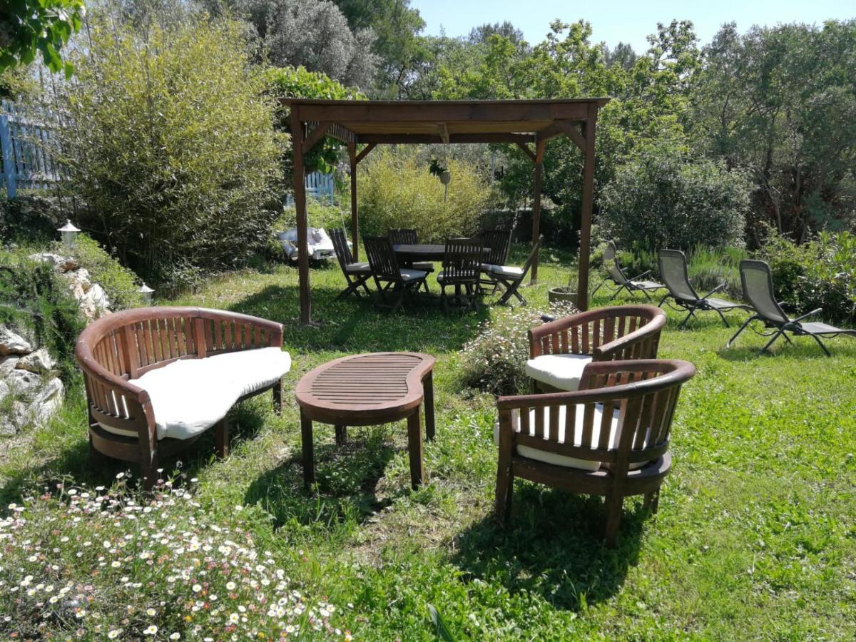 Bastide Provencale Les Muriers D'Engaspaty Seillans Zewnętrze zdjęcie