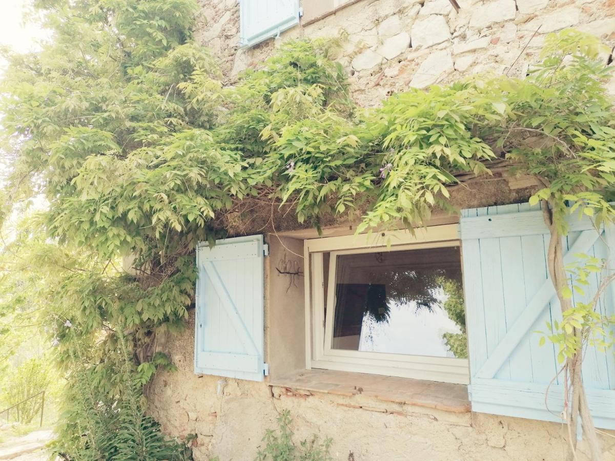 Bastide Provencale Les Muriers D'Engaspaty Seillans Zewnętrze zdjęcie
